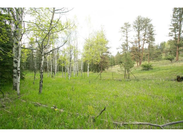 29055 S Sunset Trl, Conifer, CO 80433