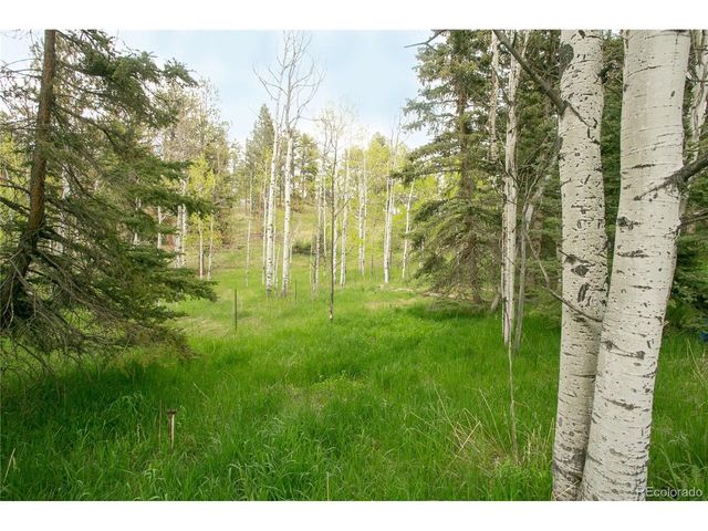 29055 S Sunset Trl, Conifer, CO 80433