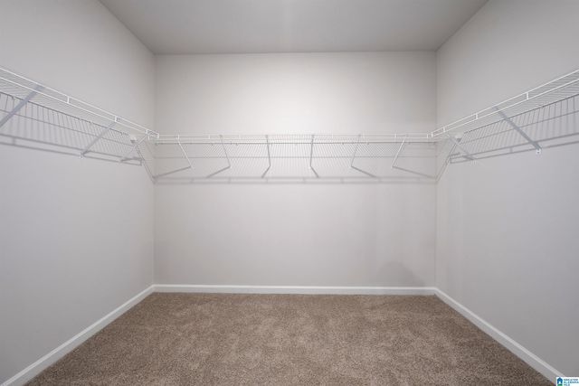 6521 LITTLE GOOSE DRIVE, Trussville, AL 35173