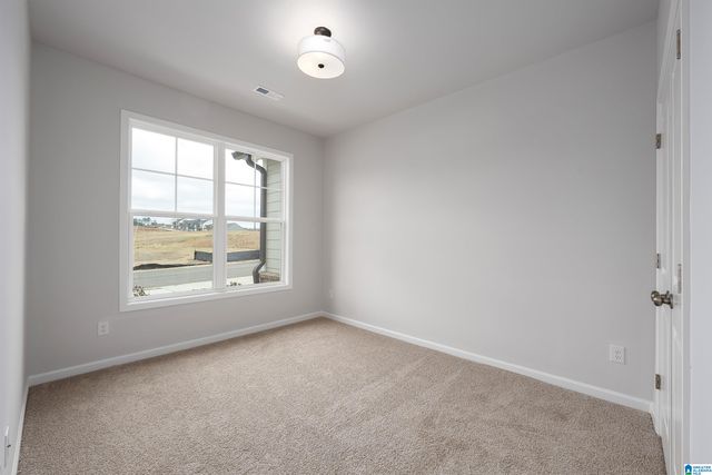 6521 LITTLE GOOSE DRIVE, Trussville, AL 35173