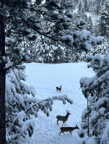 6621 GREEN MOUNTAIN CT, Spearfish, SD 57783