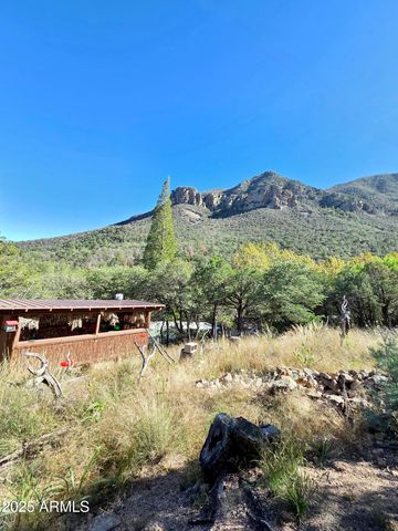 31 E RAMSEY CANYON Road, Hereford, AZ 85615