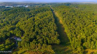 0 Lake Forest Rd, Spring City, TN 37381