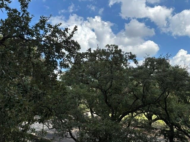 3614 Montrose Boulevard 300, Houston, TX 77006