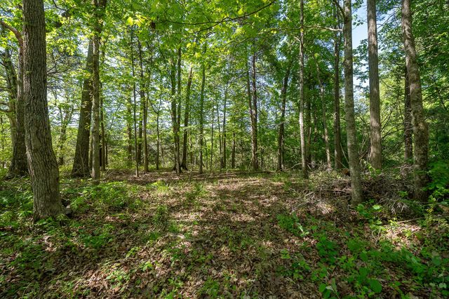 0 Walker Rd, Rock Island, TN 38581