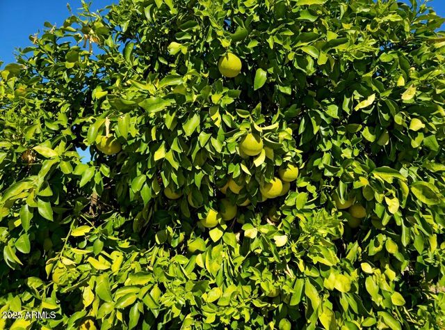 19770 N 271ST Avenue, Buckeye, AZ 85396