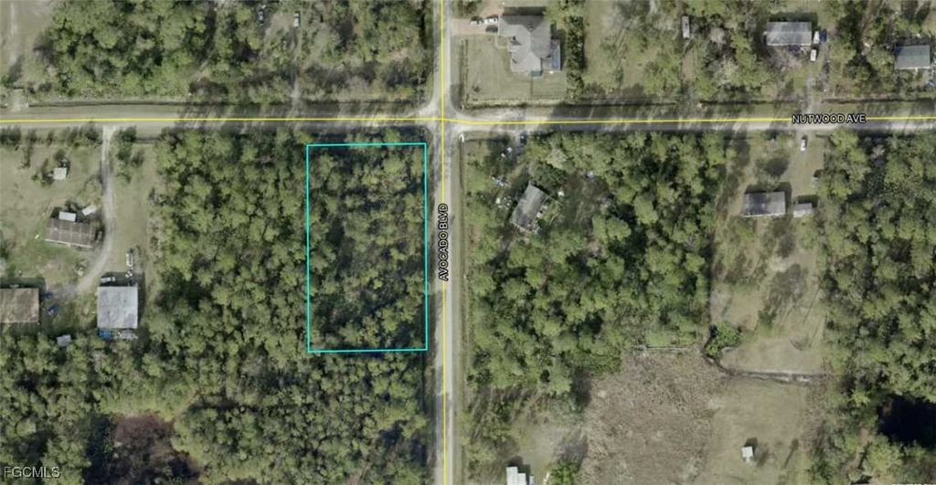 5958 Nutwood AVE, Bunnell, FL 32110
