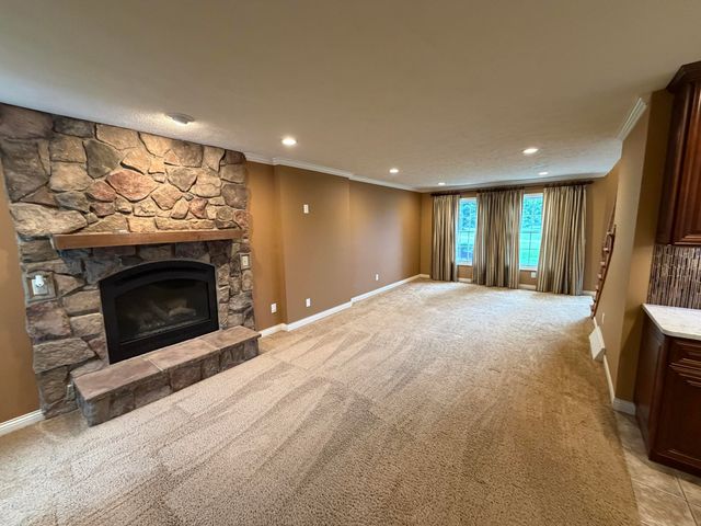 47679 Woodfield Drive, Almena Twp, MI 49071