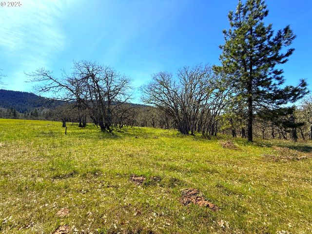 Centerville Hwy Lot3, Lyle, WA 98635