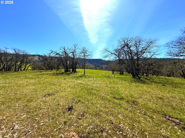 Centerville Hwy Lot3, Lyle, WA 98635