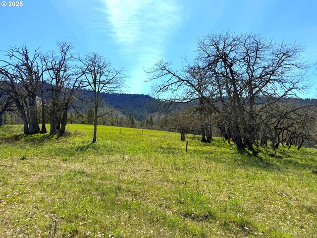 Centerville Hwy Lot3, Lyle, WA 98635