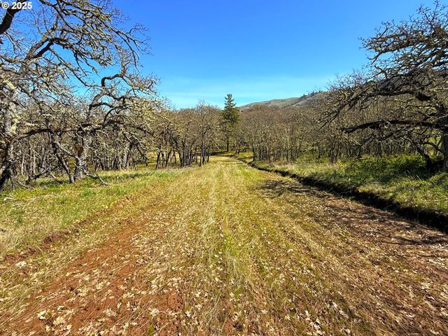 Centerville Hwy Lot3, Lyle, WA 98635