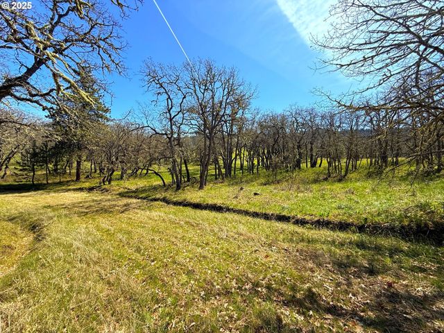 Centerville Hwy Lot3, Lyle, WA 98635