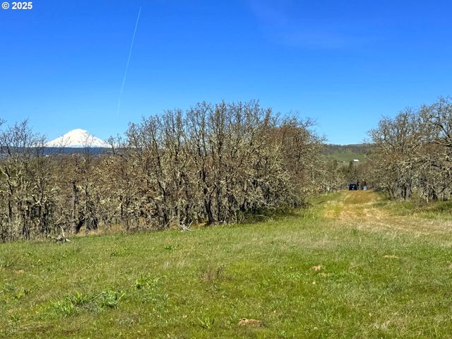 Centerville Hwy Lot3, Lyle, WA 98635