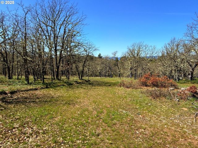 Centerville Hwy Lot3, Lyle, WA 98635