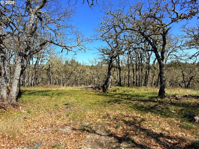 Centerville Hwy Lot3, Lyle, WA 98635