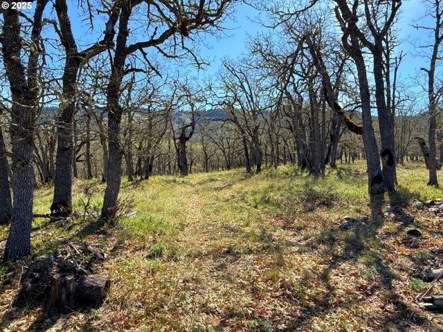 Centerville Hwy Lot3, Lyle, WA 98635
