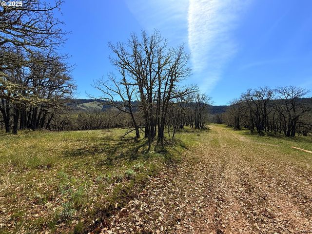 Centerville Hwy Lot3, Lyle, WA 98635