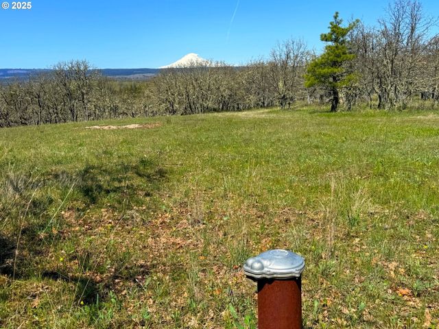 Centerville Hwy Lot3, Lyle, WA 98635