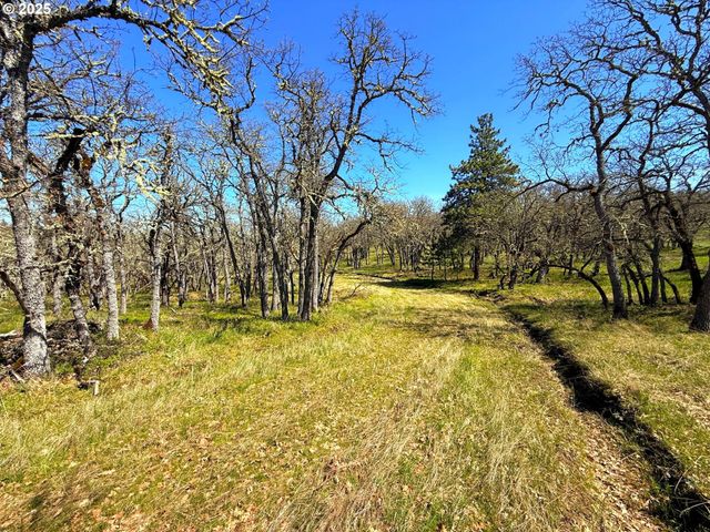 Centerville Hwy Lot3, Lyle, WA 98635