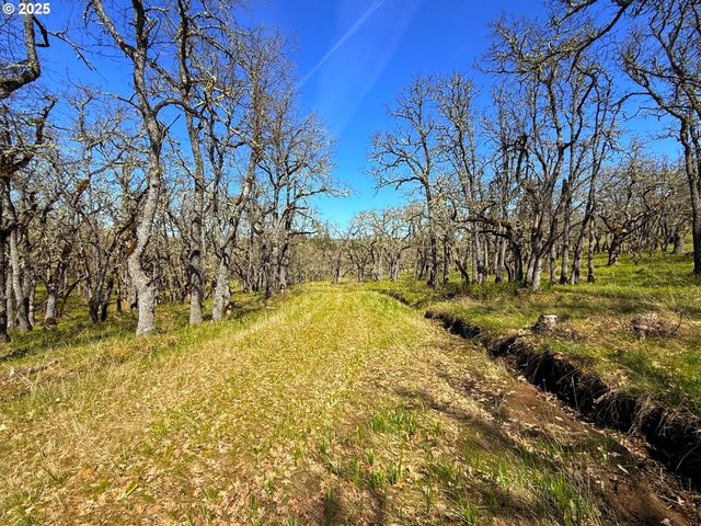 Centerville Hwy Lot3, Lyle, WA 98635