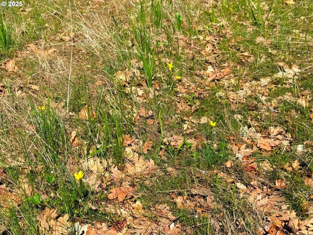 Centerville Hwy Lot3, Lyle, WA 98635