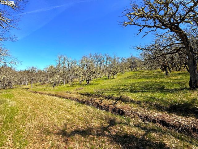 Centerville Hwy Lot3, Lyle, WA 98635