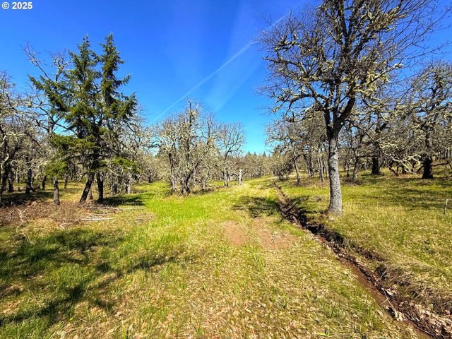 Centerville Hwy Lot3, Lyle, WA 98635
