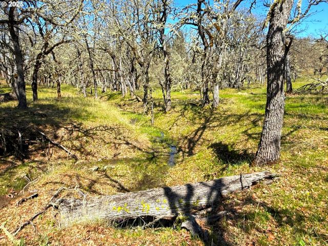 Centerville Hwy Lot3, Lyle, WA 98635