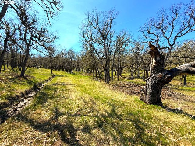 Centerville Hwy Lot3, Lyle, WA 98635