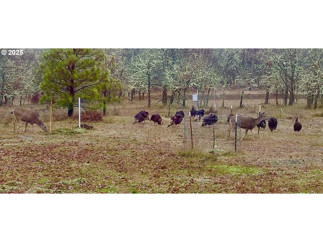 Centerville Hwy Lot3, Lyle, WA 98635