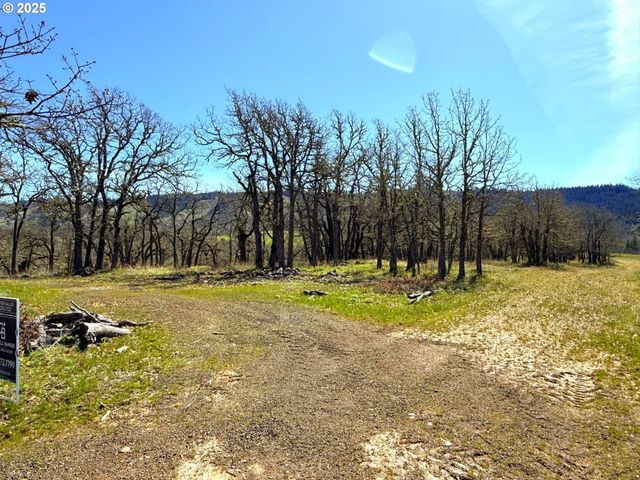 Centerville Hwy Lot3, Lyle, WA 98635