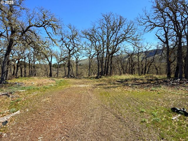 Centerville Hwy Lot3, Lyle, WA 98635