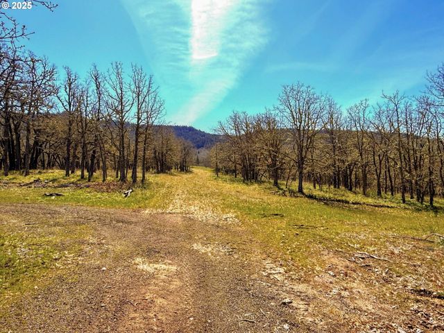 Centerville Hwy Lot3, Lyle, WA 98635