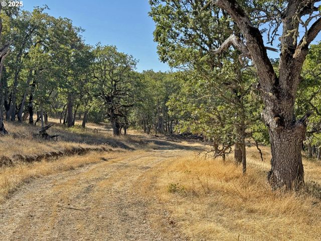 Centerville Hwy Lot3, Lyle, WA 98635