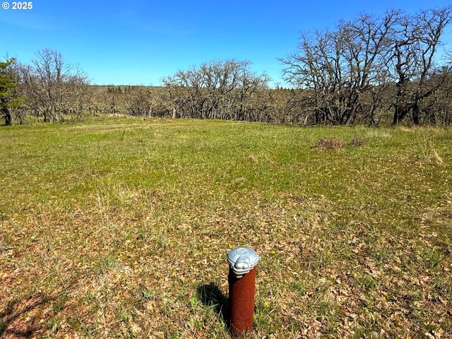 Centerville Hwy Lot3, Lyle, WA 98635