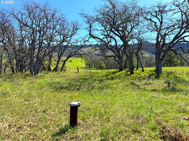 Centerville Hwy Lot3, Lyle, WA 98635