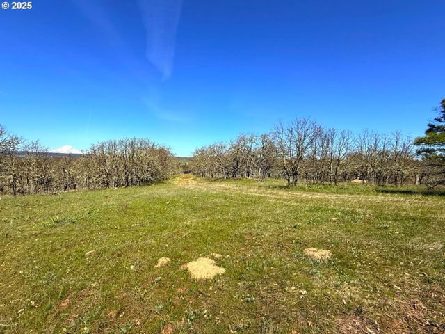 Centerville Hwy Lot3, Lyle, WA 98635