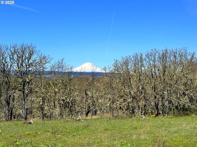 Centerville Hwy Lot3, Lyle, WA 98635