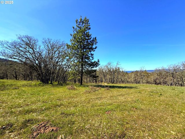 Centerville Hwy Lot3, Lyle, WA 98635
