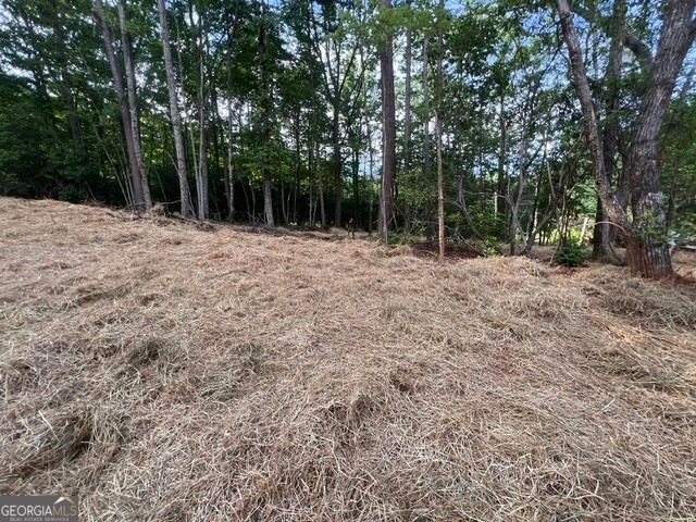253 Fox Valley Road, Clarkesville, GA 30523
