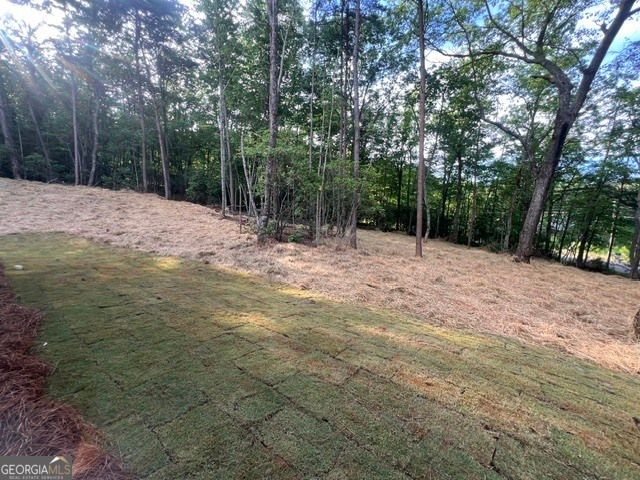 253 Fox Valley Road, Clarkesville, GA 30523