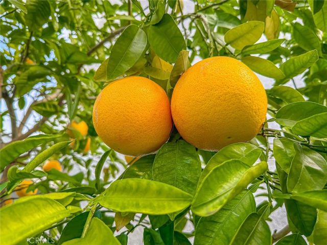 5625 Slicers, Agoura Hills, CA 91301