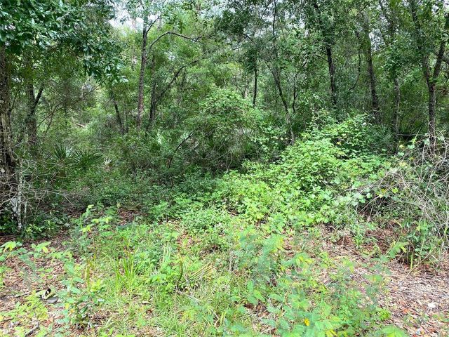 SE 193RD AVENUE, Ocklawaha, FL 32179