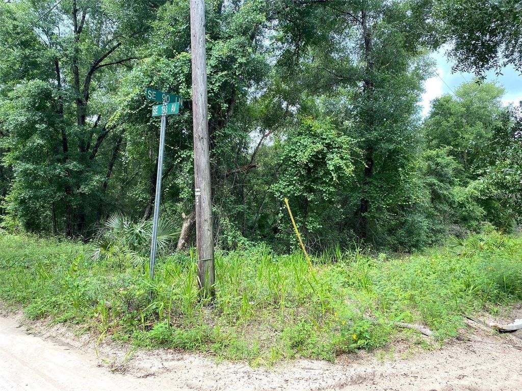 SE 193RD AVENUE, Ocklawaha, FL 32179