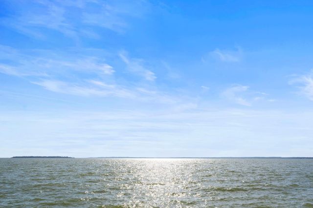 325 Carolcrest Lane 3, Livingston, TX 77351