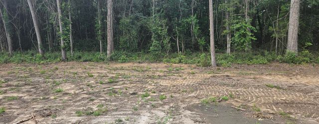 117 Martin Drive, Eutawville, SC 29048