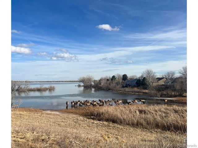 5416 Ferryboat Court, Loveland, CO 80537