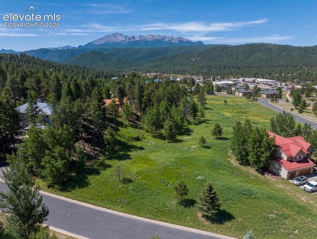 921 Heather Court, Woodland Park, CO 80863 — photo 3