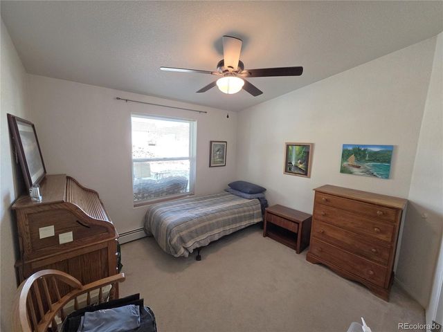 27665 County Road 313 42, Buena Vista, CO 81211